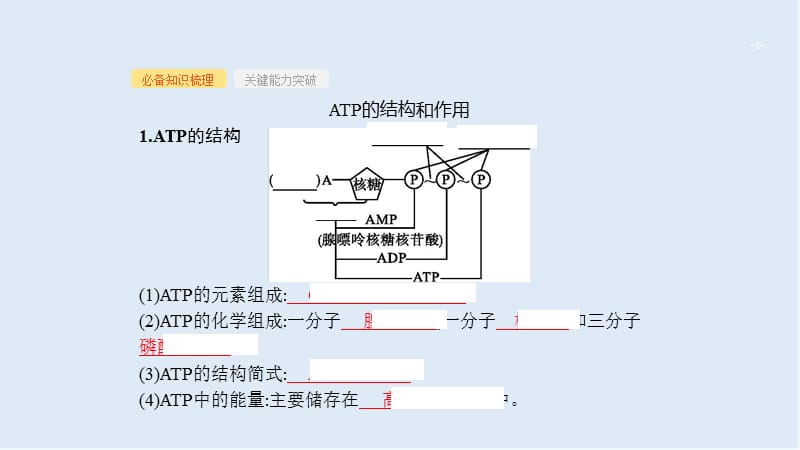 2020届高考生物二轮复习课件：第3单元细胞的能量供应和利用9ATP与细胞呼吸 .ppt_第3页