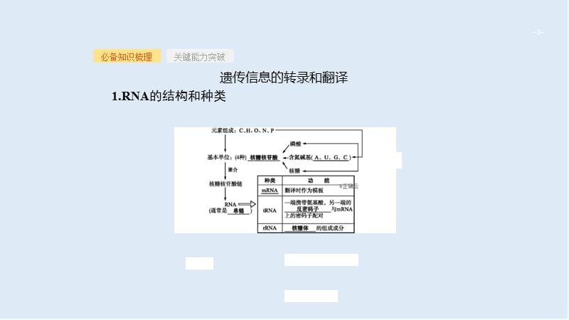 2020届高考生物二轮复习课件：第5单元遗传的分子基础17基因的表达 .ppt_第3页