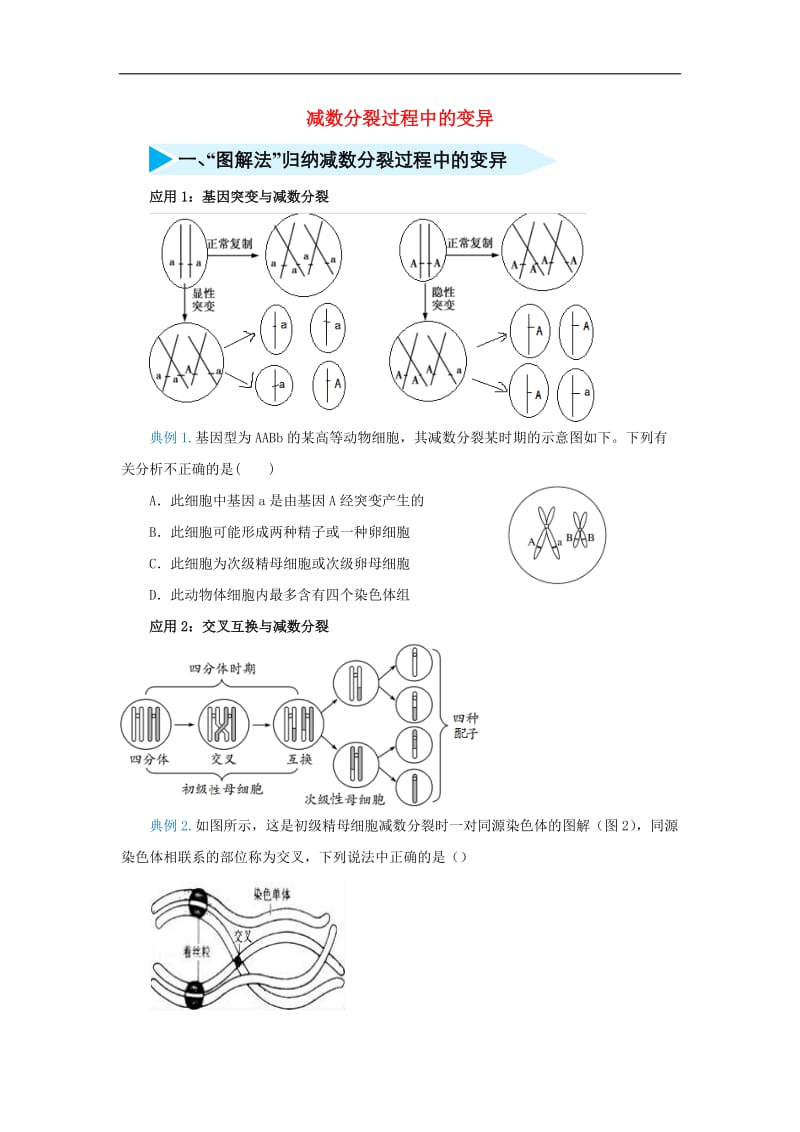 2020届高三生物精准培优专练十一减数分裂过程中的变异含解析.docx_第1页