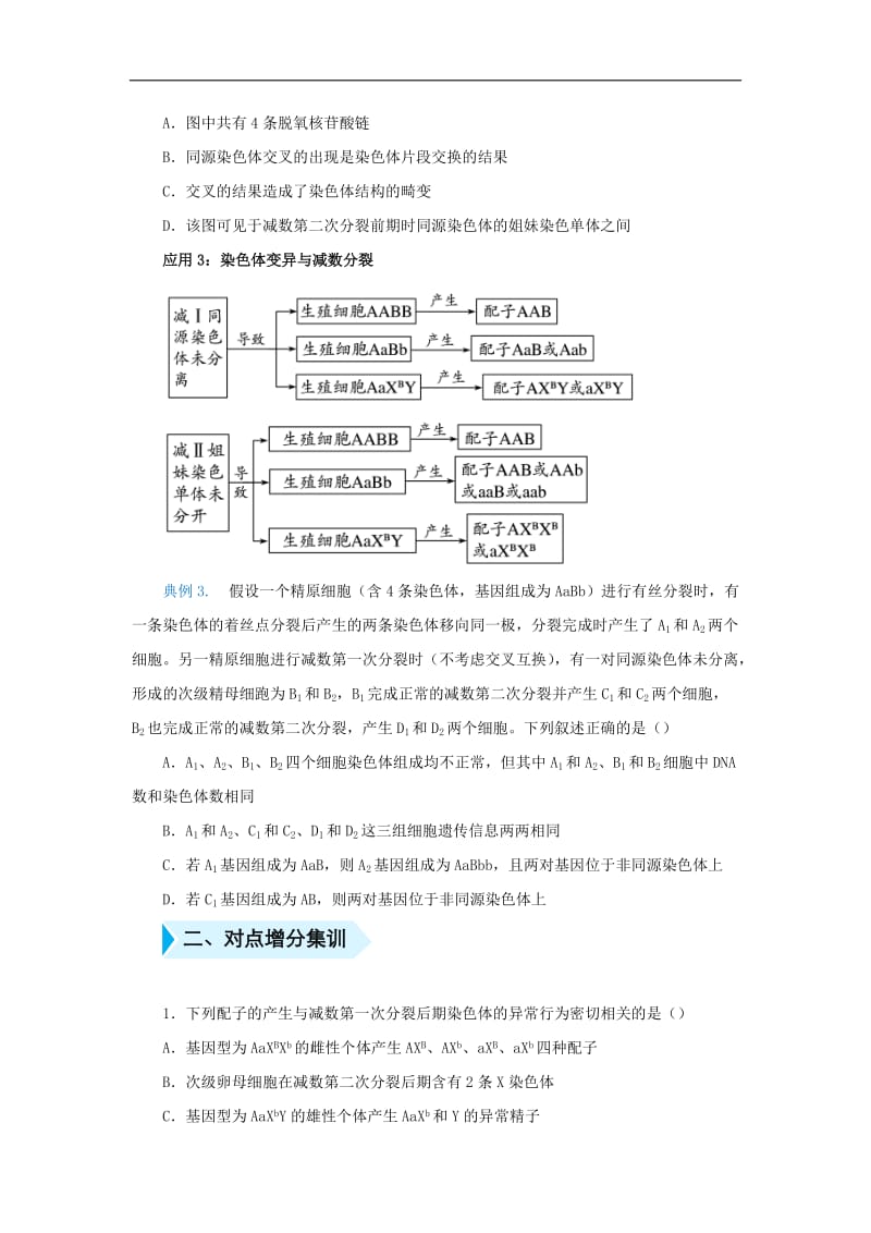 2020届高三生物精准培优专练十一减数分裂过程中的变异含解析.docx_第2页