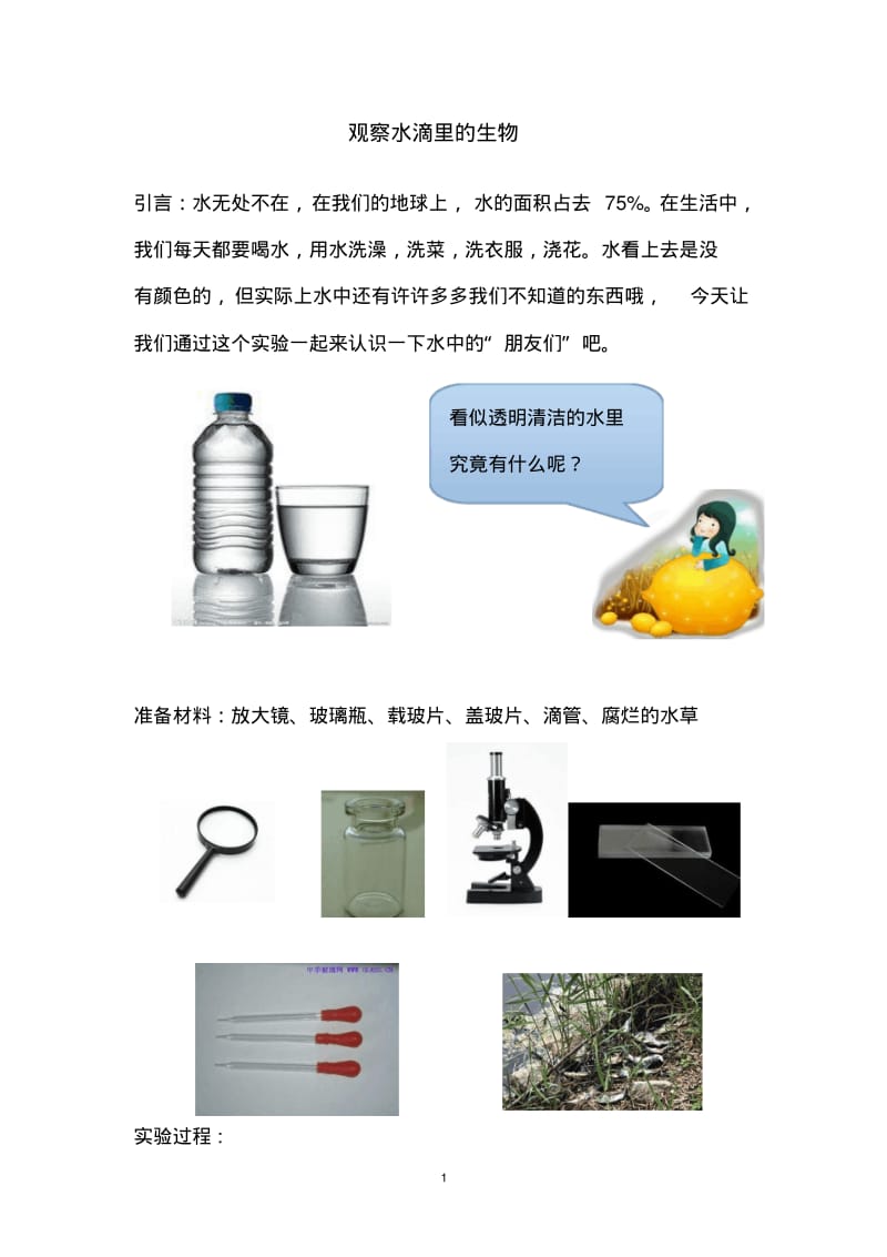 小学科学实验1、观察水滴里的微生物.pdf_第1页