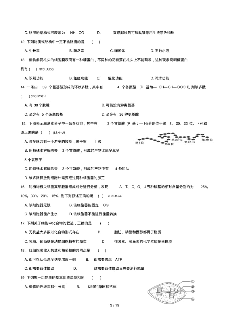 宁夏石嘴山市2018届高三生物上学期期中试题2017122001102.pdf_第3页