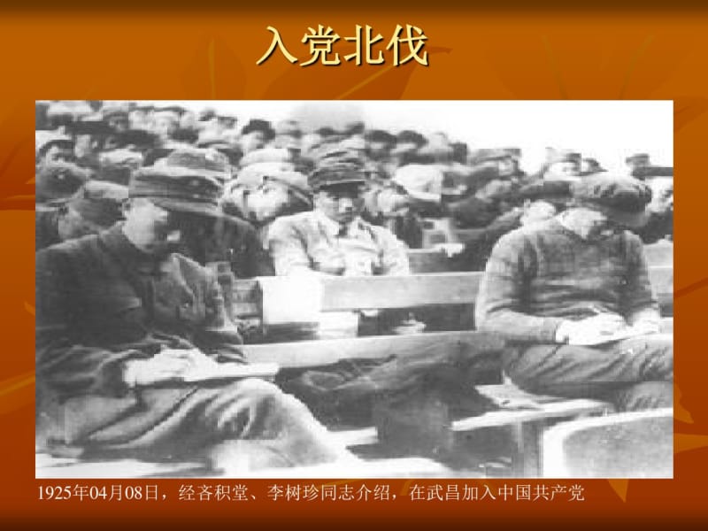 徐海东大将MicrosoftPowerPoint演示文稿资料.pdf_第3页