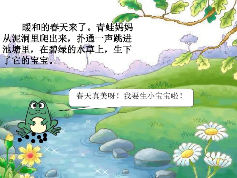 小蝌蚪找妈妈(完美版)资料.pdf_第2页