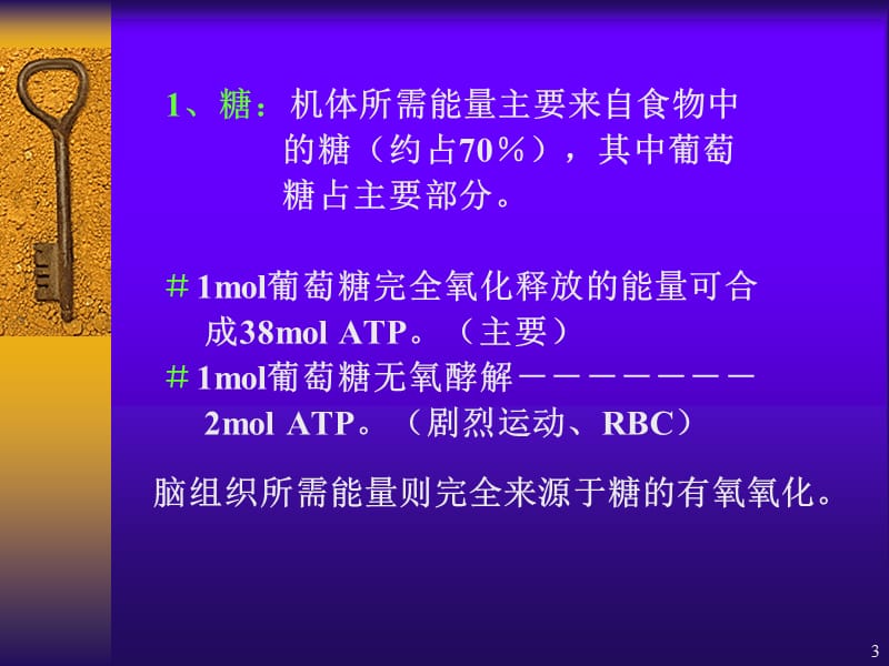 能量代谢和体温.ppt_第3页