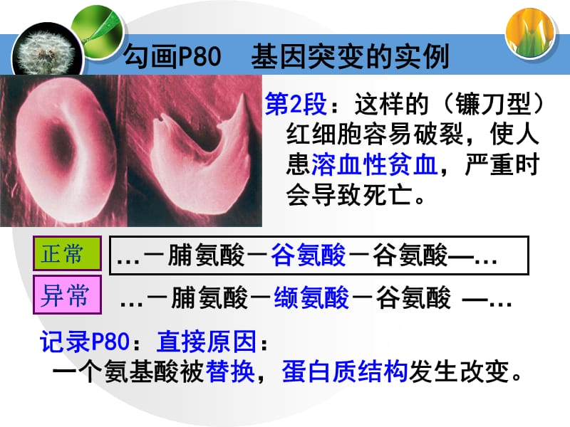 生物课件——基因突变和基因重组.ppt_第2页