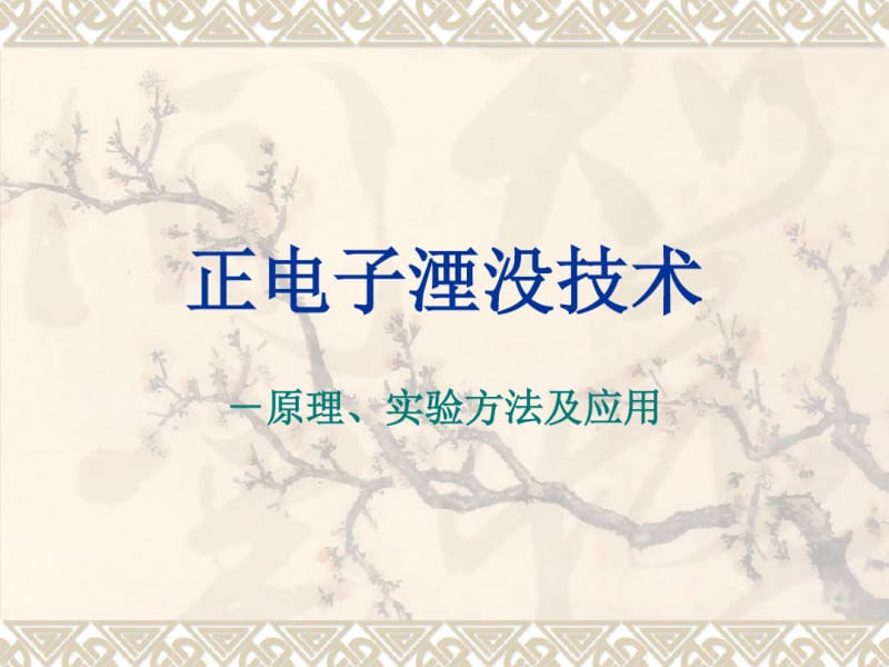 正电子湮没技术..pdf_第1页