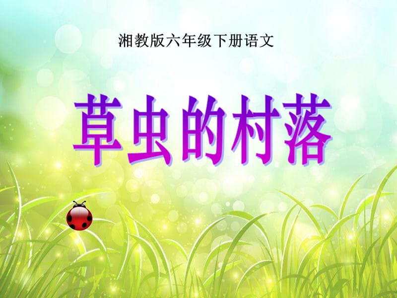 湘教版语文六下[草虫的村落]ppt课件.ppt_第1页