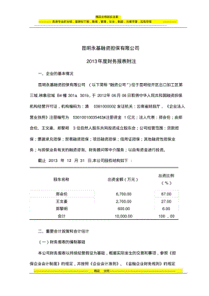 投融资公司财务报表附注2.pdf