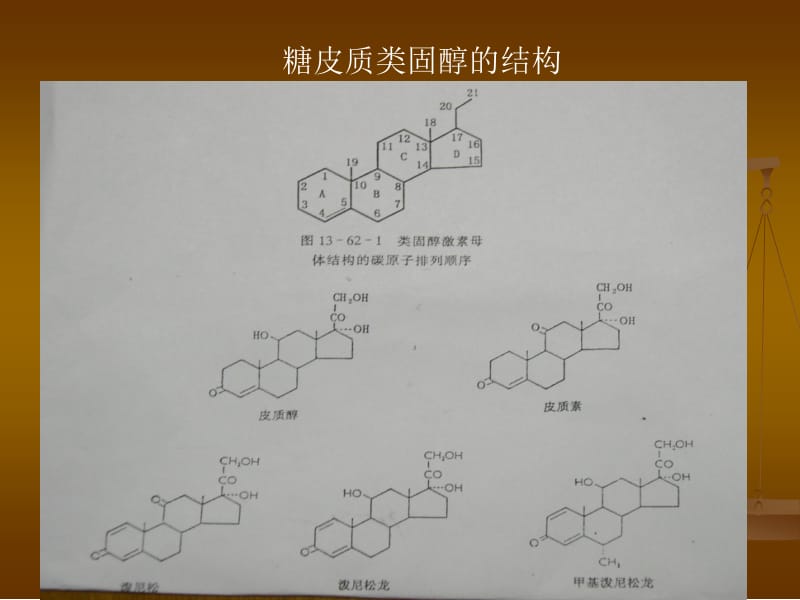 糖皮质激素在皮肤科的应用.ppt_第3页