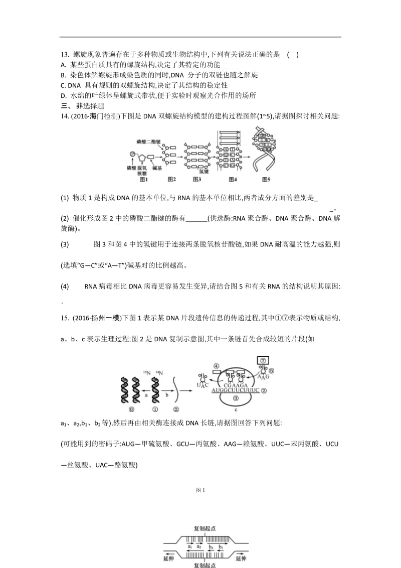 江苏盐城中学2020届高三一轮复习学生作业：第六单元第2讲 DNA的结构和复制 Word版含解析.doc_第3页