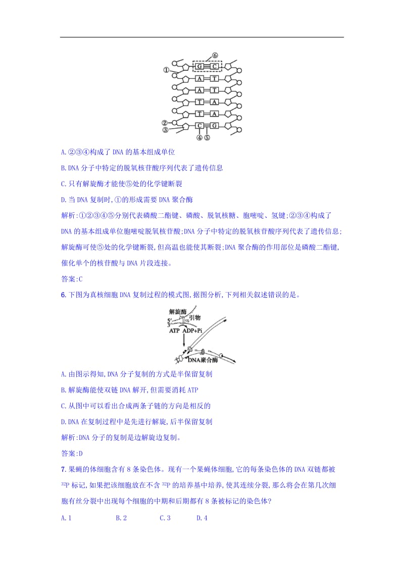 江苏省启东中学高一生物人教版必修2 课时训练：12dna分子的复制 Word版含答案.doc_第2页