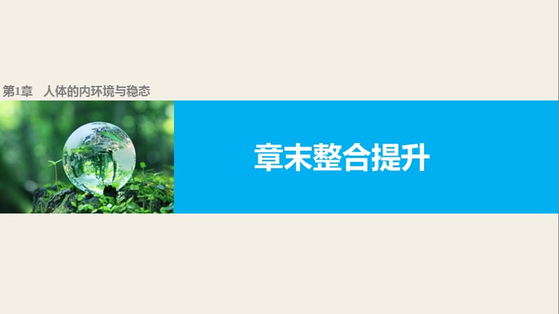 2019-2020学年高二生物人教版必修3课件：第1章 人体的内环境与稳态 章末整合提升 .pptx_第1页