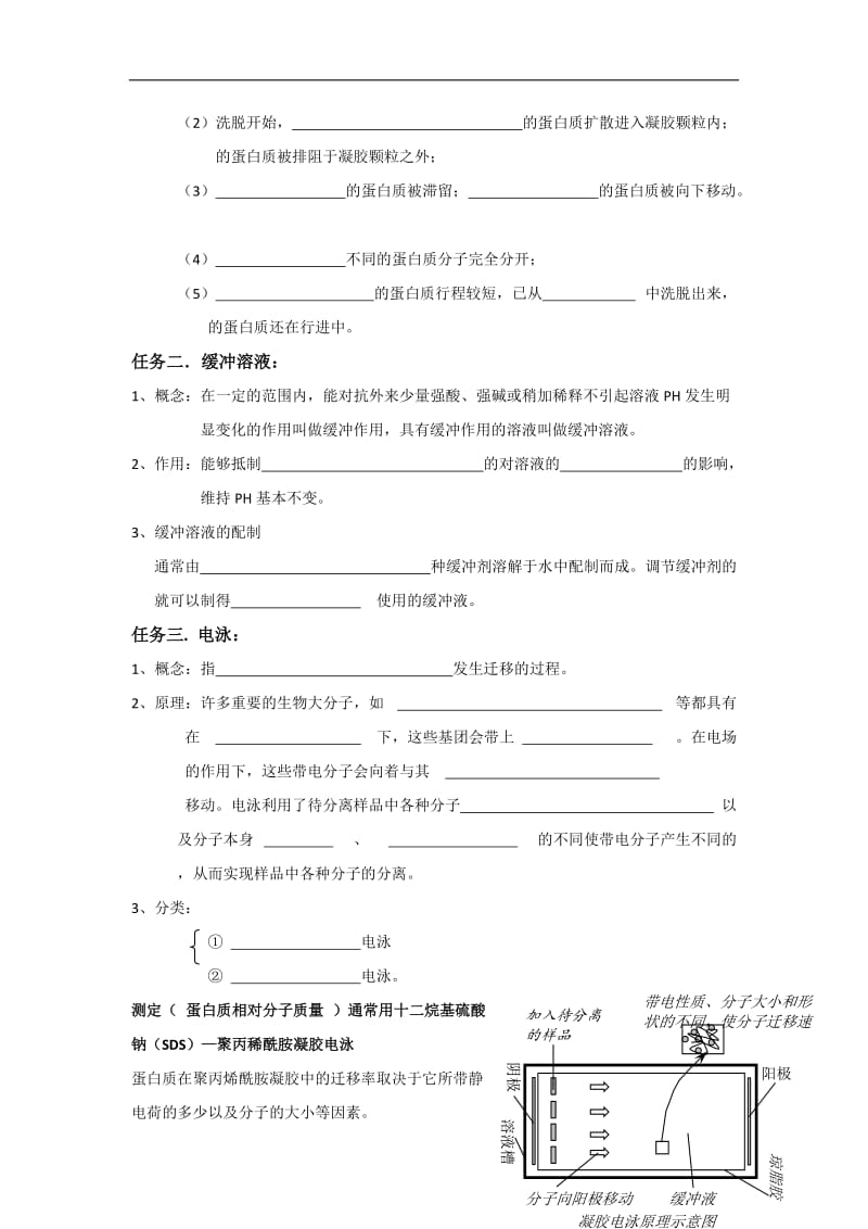 河北省邢台市第二中学人教版高中生物选修一学案专题5 课题3 血红蛋白的提取和分离 .doc_第2页