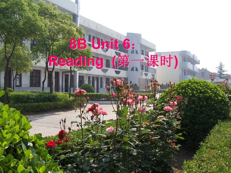 8BUnit6Reading.ppt_第1页