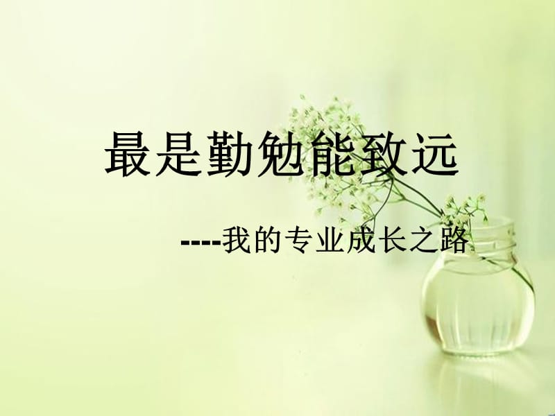 最是勤勉能致远----我的专业成长之路.ppt_第1页