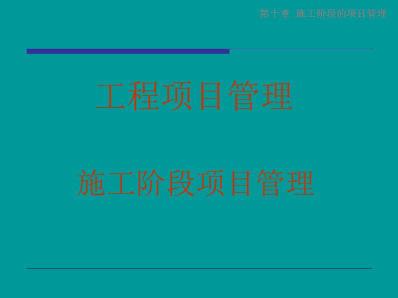 施工阶段项目管理.ppt_第1页