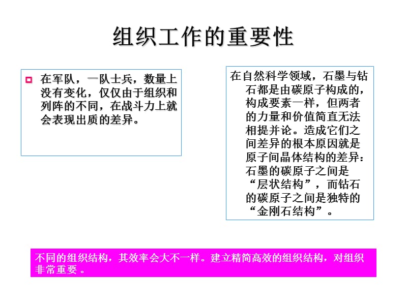 第六讲组织.ppt_第2页