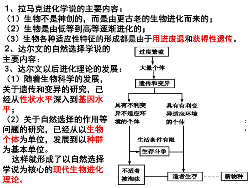 种群基因频率的改变与生物进化..pdf_第1页