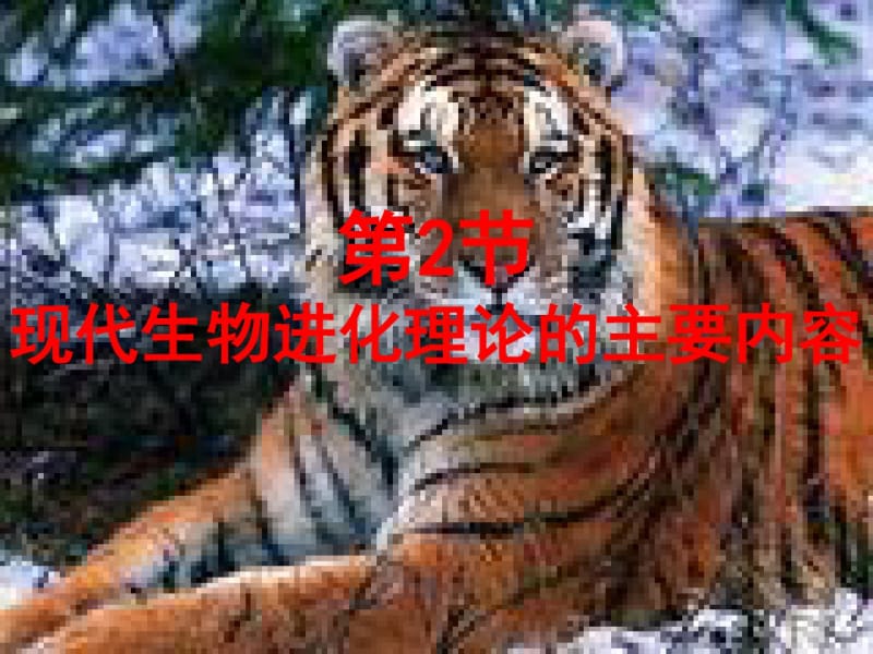 种群基因频率的改变与生物进化..pdf_第2页