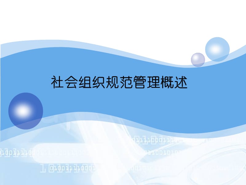 社会组织规范管理概述.ppt_第1页