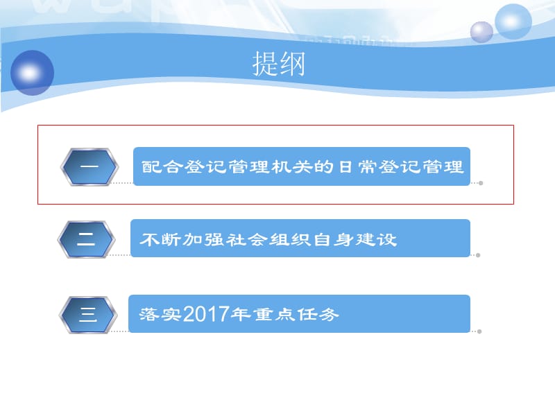 社会组织规范管理概述.ppt_第2页