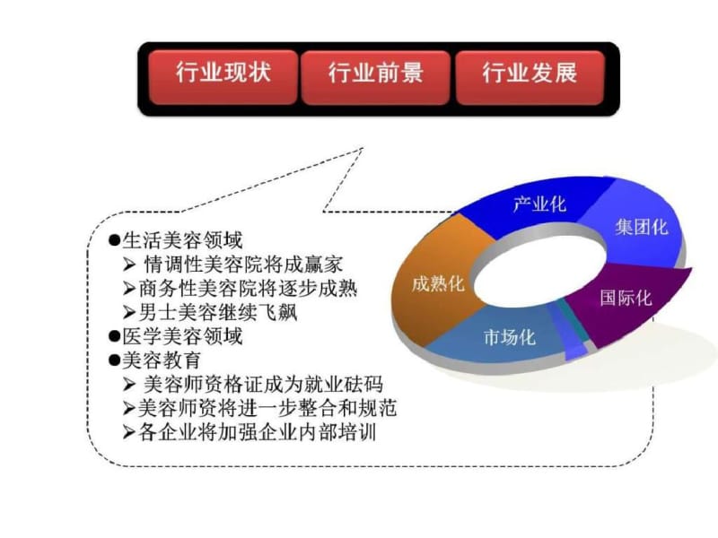 美容美体行业分析图文.pdf_第3页