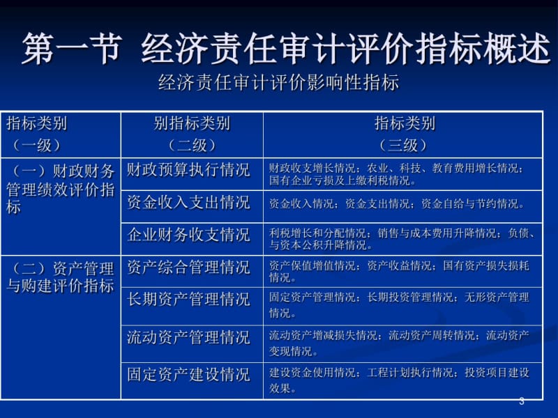 经济责任审计评价指标.pdf_第3页