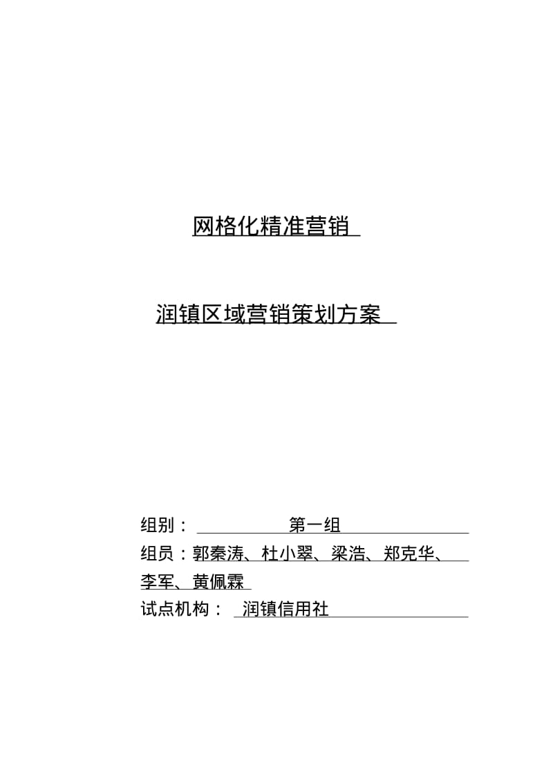 网格化精准营销策划方案.pdf_第1页