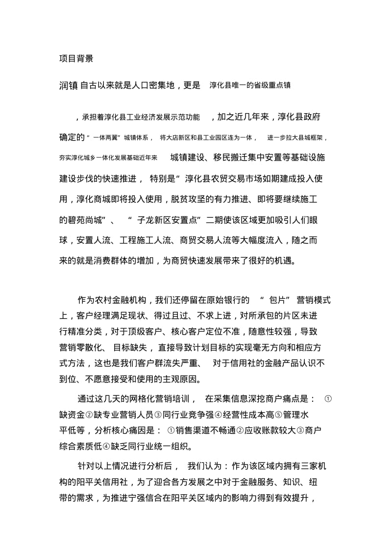 网格化精准营销策划方案.pdf_第3页