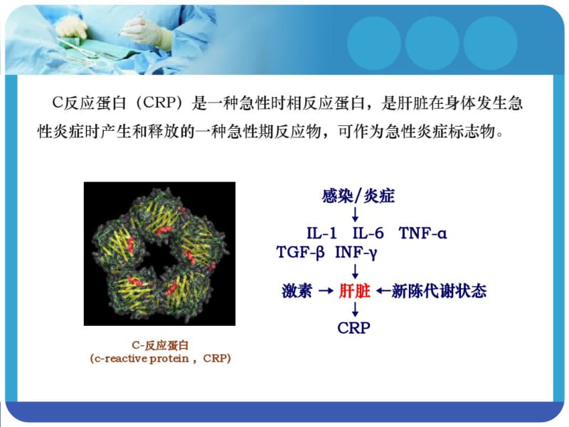 C反应蛋白的学习解读.pdf_第2页