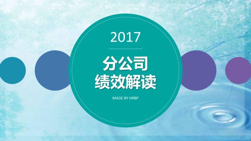 2017分公司绩效解读.pdf_第1页