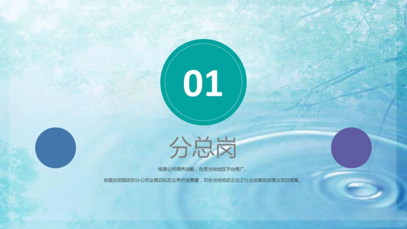 2017分公司绩效解读.pdf_第3页