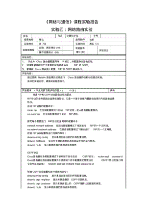 《网络与通信》课程实验报告网络路由实验DOC.pdf