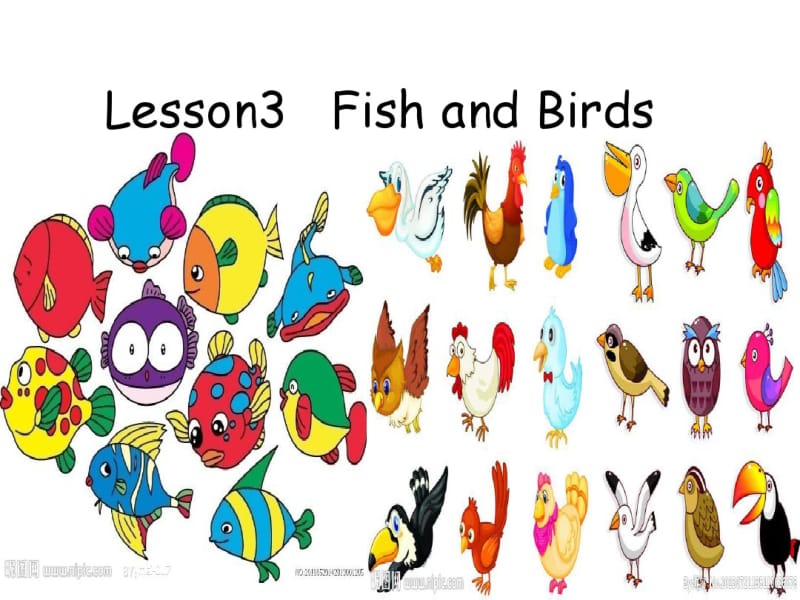 lesson3fishandbirds.pdf_第1页