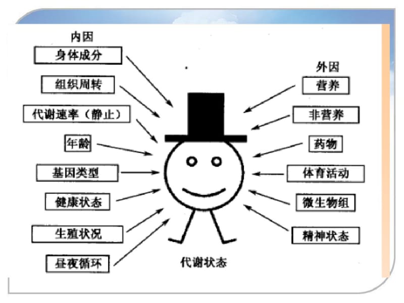 代谢组学的研究方法和研究流程.pdf_第2页