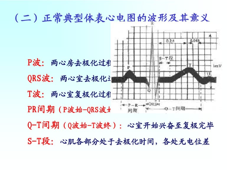 二、体表心电图..pdf_第2页