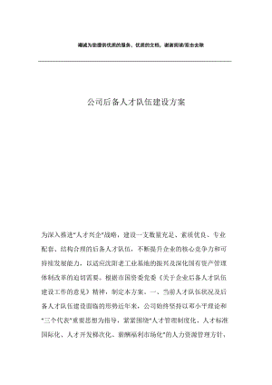 公司后备人才队伍建设方案.docx