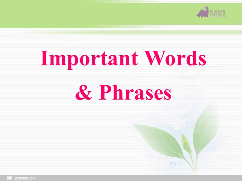 必修五 3.9《Unit 3　Words and phrases》 .ppt_第2页