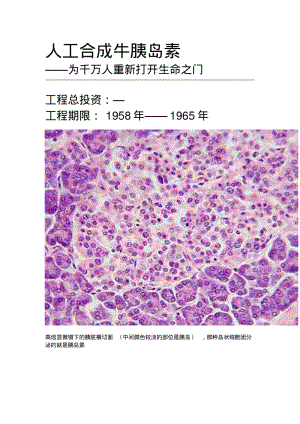 人工合成牛胰岛素解析.pdf