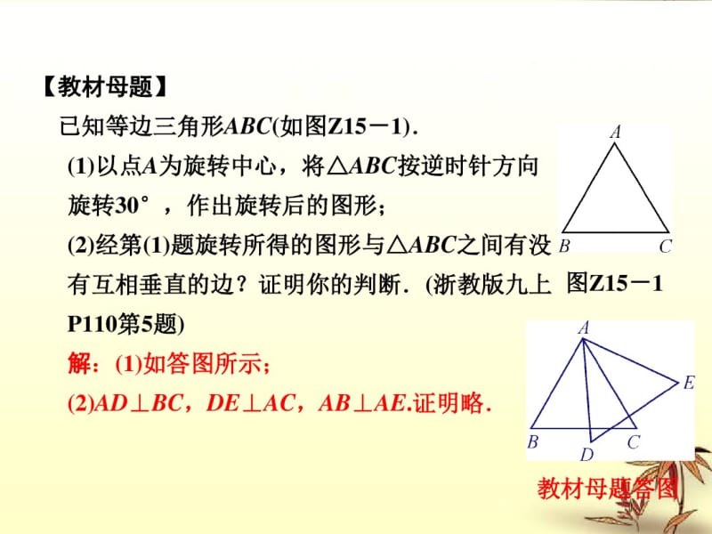 专题提升(十五)巧用旋转进行证明与计算.pdf_第2页