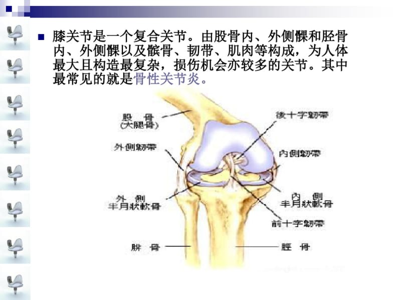 人工膝关节置换术手术配合ppt..pdf_第3页