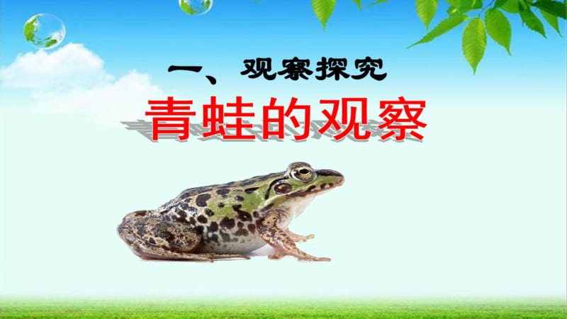 八年级生物上册第一章_第五节两栖动物和爬行动物精品中学ppt课件.pdf_第3页