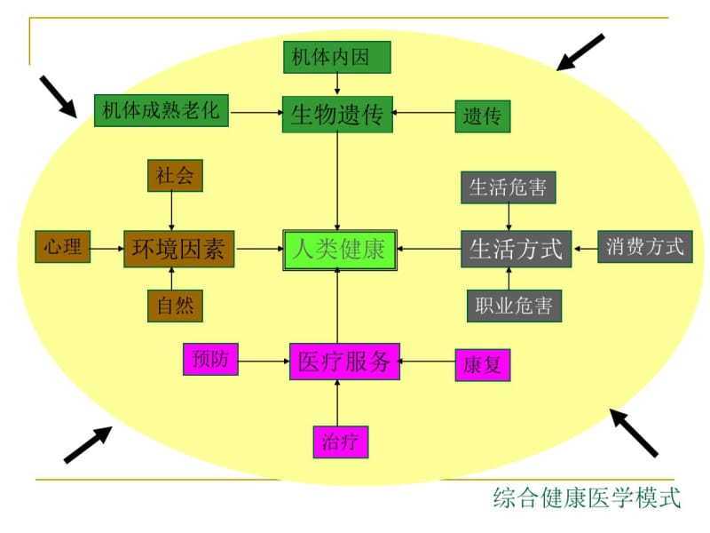 健康讲座之行为与健康..pdf_第3页