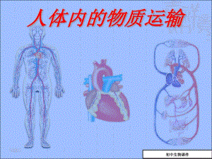 初中七年级(初一)生物《人体内物质的运输》复习课件.pdf