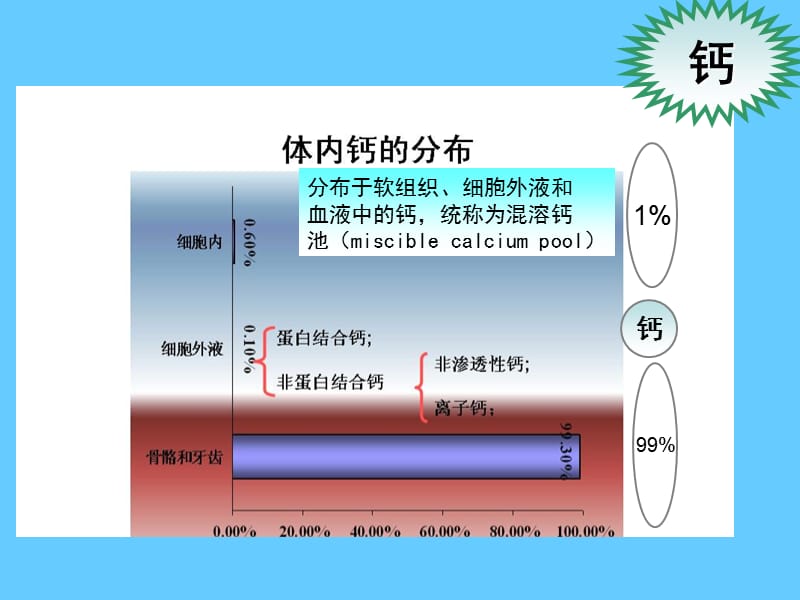 营养学——矿物质钙.ppt_第1页