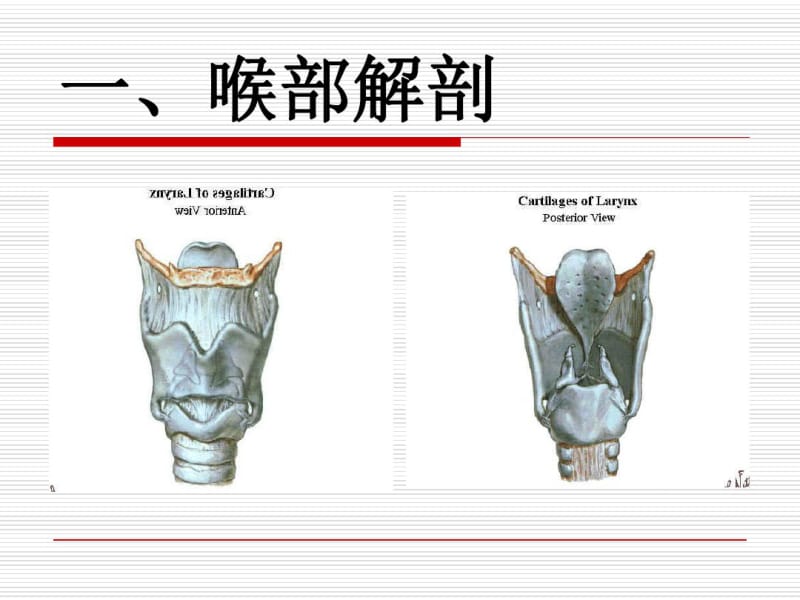 医学气管插管操作流程图文专题课件.pdf_第2页