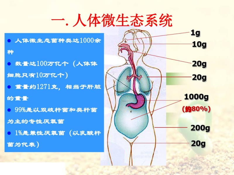 医学益生菌的相关知识.pdf_第3页