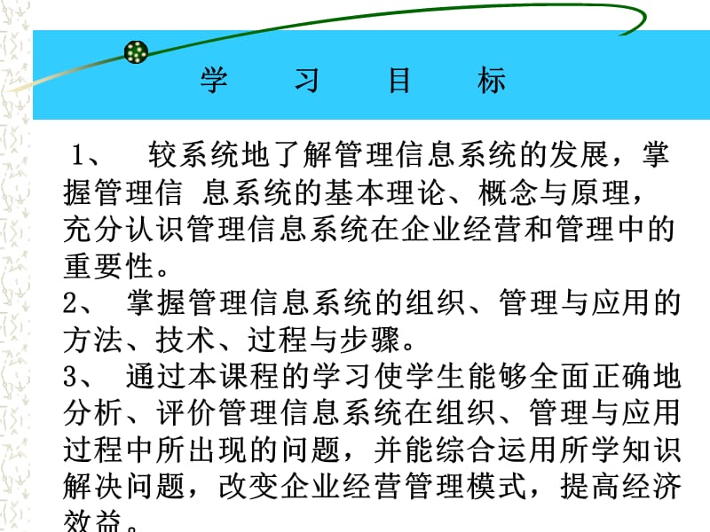 管理信息系统 教学辅助课件.ppt_第2页