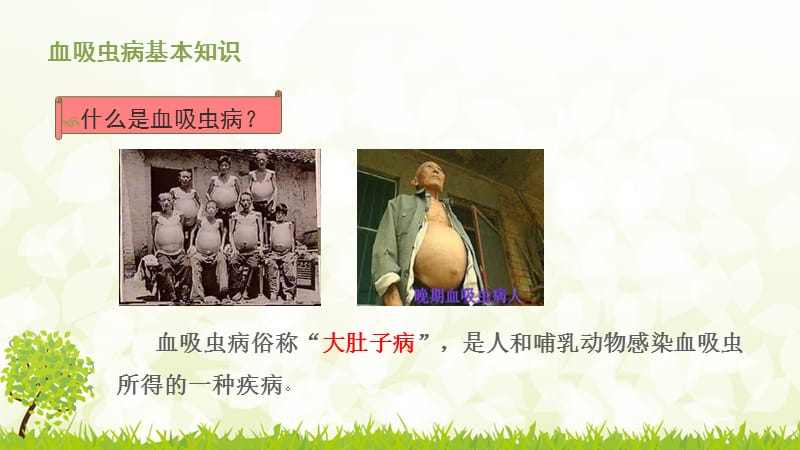 血吸虫病防治知识.ppt_第3页